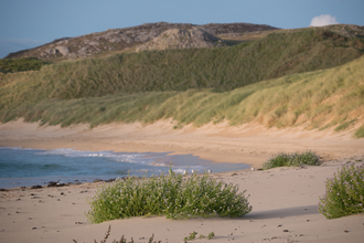 Coastal Dunes